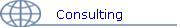 Consulting