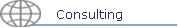 Consulting